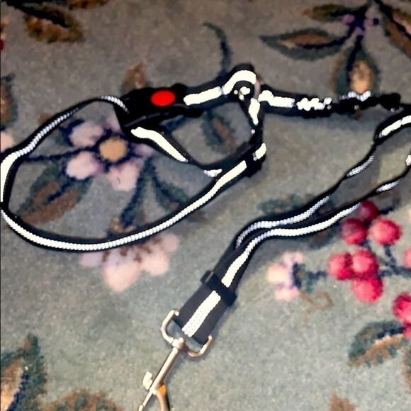 Medium size dog harness  - Picture 1 of 5